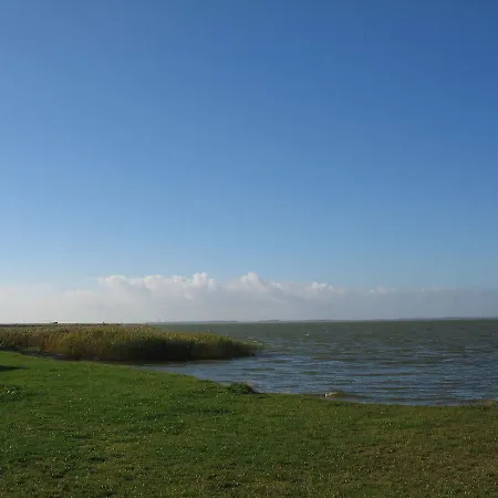 Jan's Zeese-delfin-seehund Neuendorf (Saal)